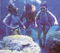 Diving tours and course Bodrum
